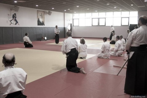 Stage Aikido à Cabestany - Daniel Toutain - 06/2014