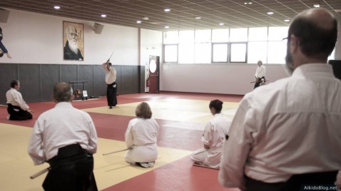 Stage Aikido à Cabestany - Daniel Toutain - 06/2014