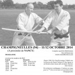 2014-10-Stage-Savalli-Champigneulles