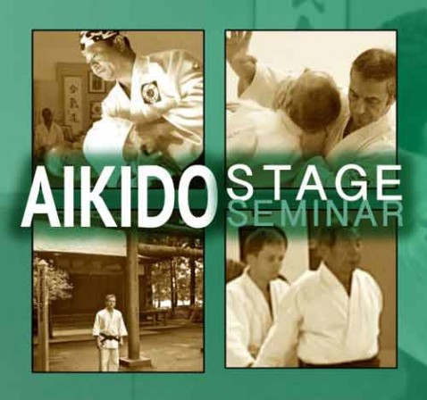 stage-aikido