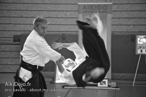 Stage Aikido - AIKI DOJO AZUR 01/2015 - Daniel TOUTAIN © E.Savalli