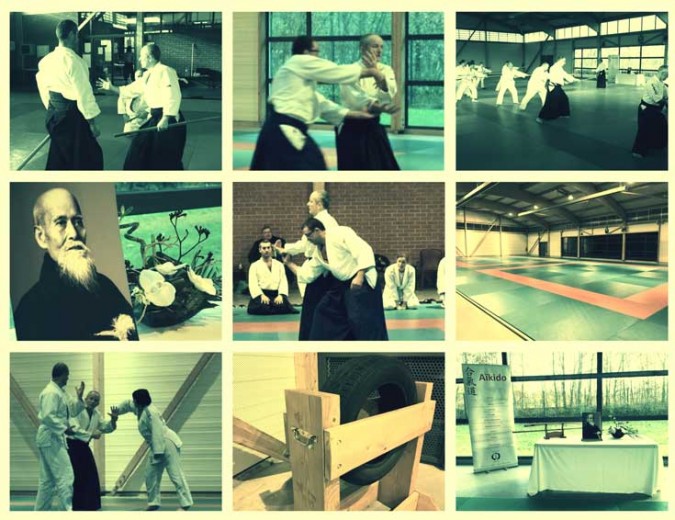 2014-marchiennes-aikido