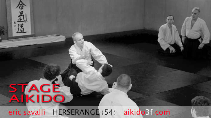 Stage Aikido avec Eric Savalli - Aikido3F - Harcourt