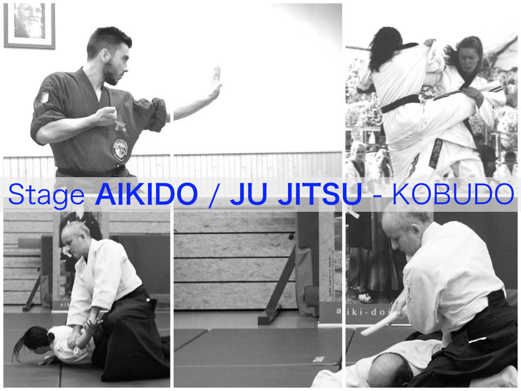 Stage Ju-jitssu - Aikido - Kobudo